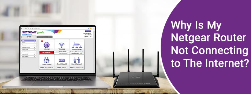 Netgear Router Not Connecting to The Internet